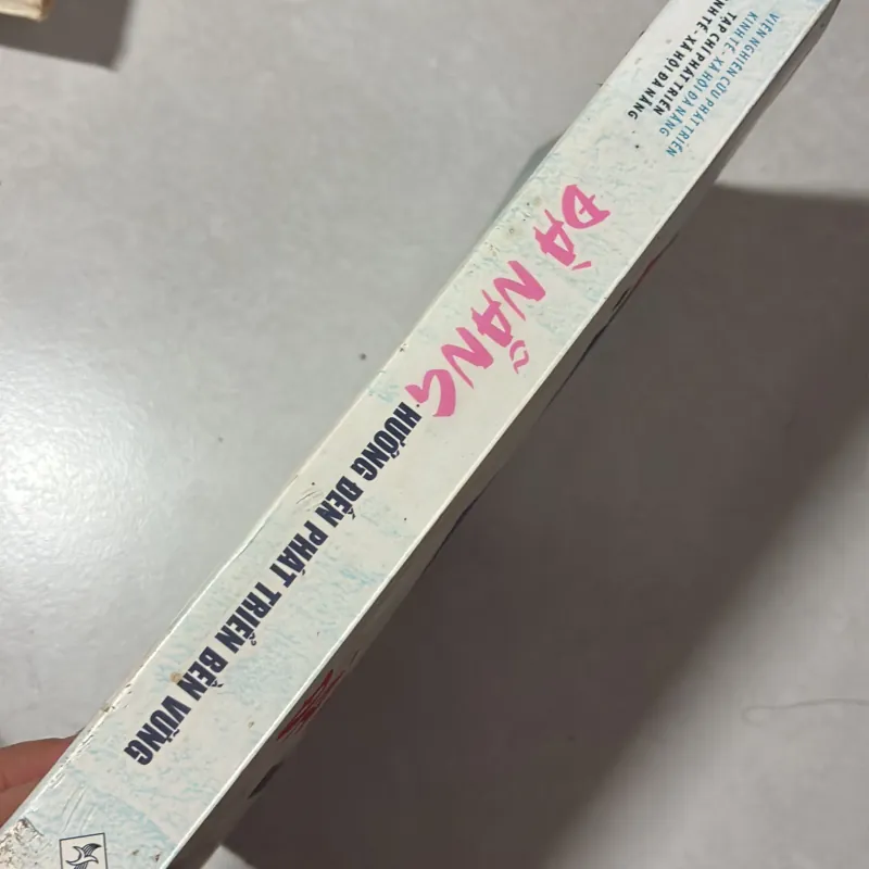 Đà Nẵng hướng đến phát triển bền vững (có ẩm) 765681