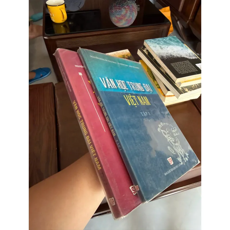 Văn Học Trung Đại Việt Nam (Trọn Bộ 2 Tập)- K2 992767