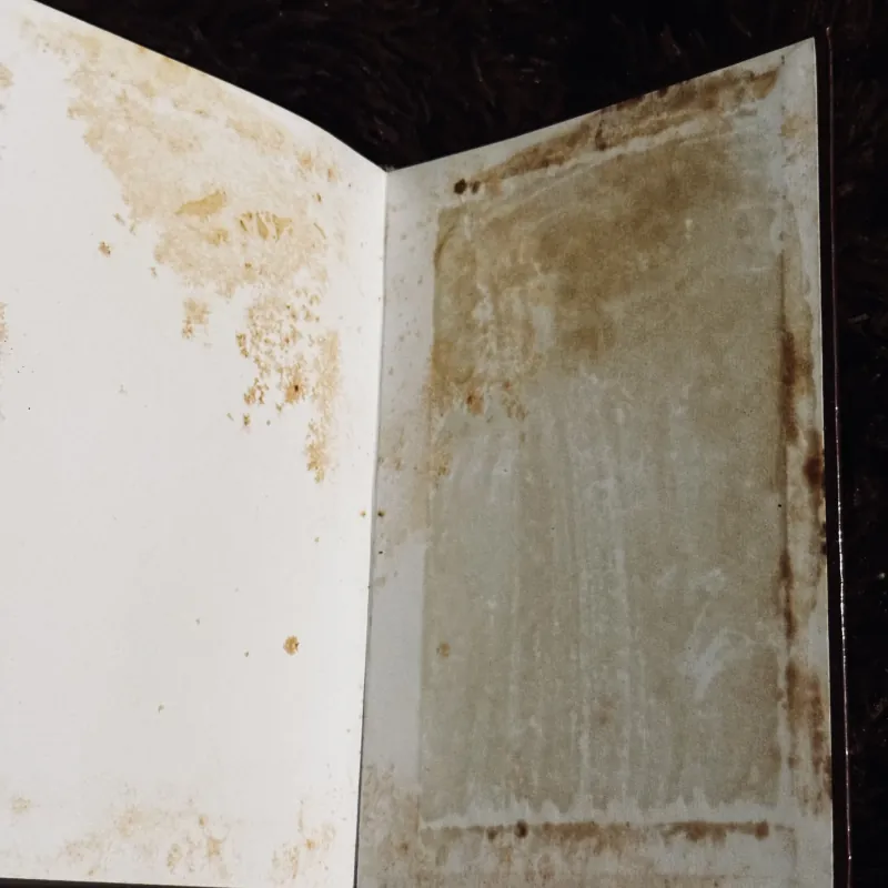 Tiếng Việt, Báo Chí và Thơ Mới - Phan Khôi 932156