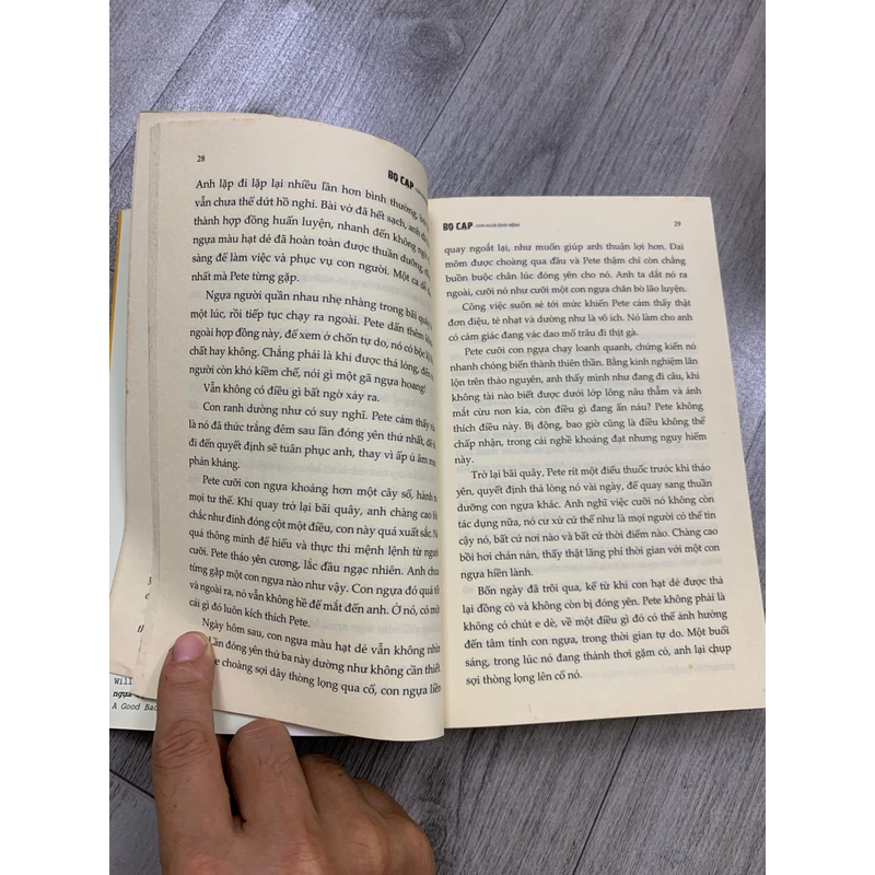 Bọ cạp - con ngựa định mệnh. 999 458302