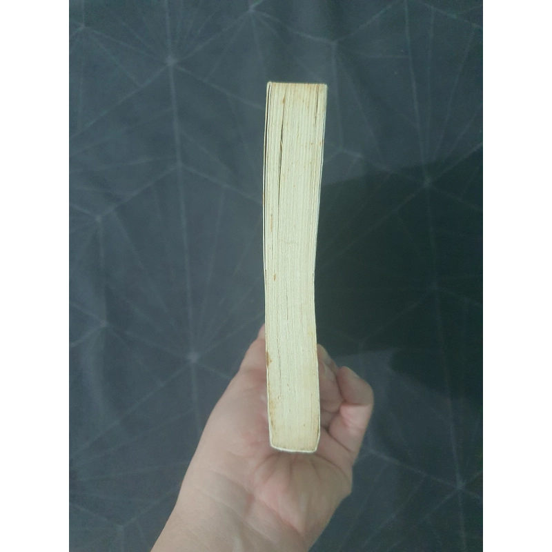 "Tình kiếp tam sinh" - Cửu Lộ Phi Hương 493144