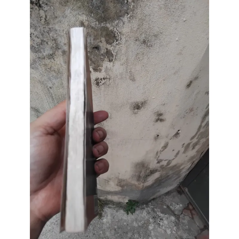 Những truyện nông thôn của nhà văn Nguyễn Huy Thiệp  1004705