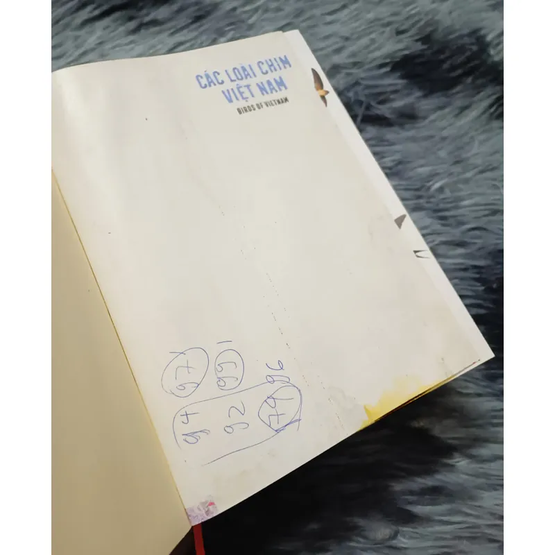 Các loài chim Việt Nam (Lê Mạnh Hùng) 736179