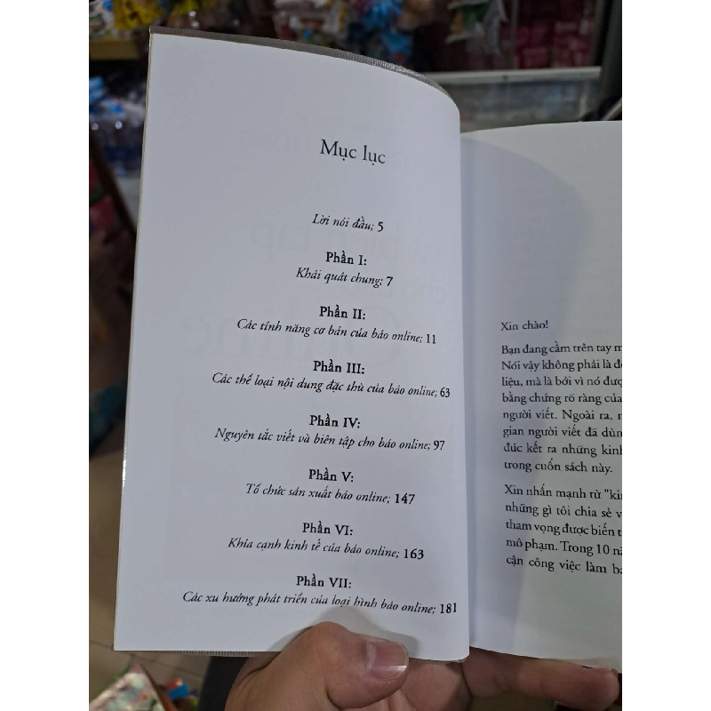 Viết và biên tập cho báo online - Nguyễn Ánh Hồng - mới 90% - KỸ NĂNG - HCM0111 920662