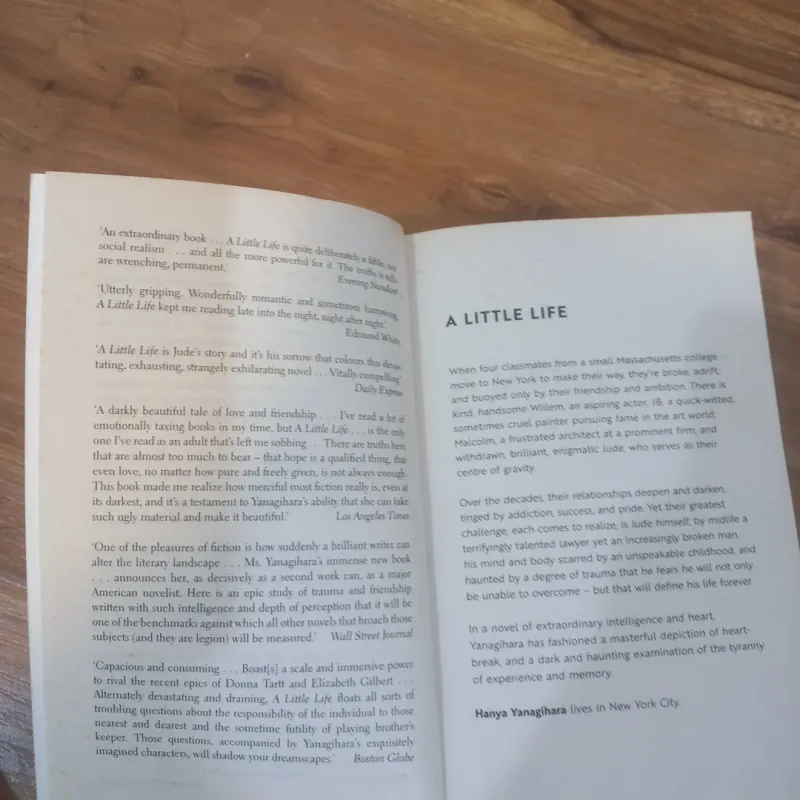A Little Life 957201