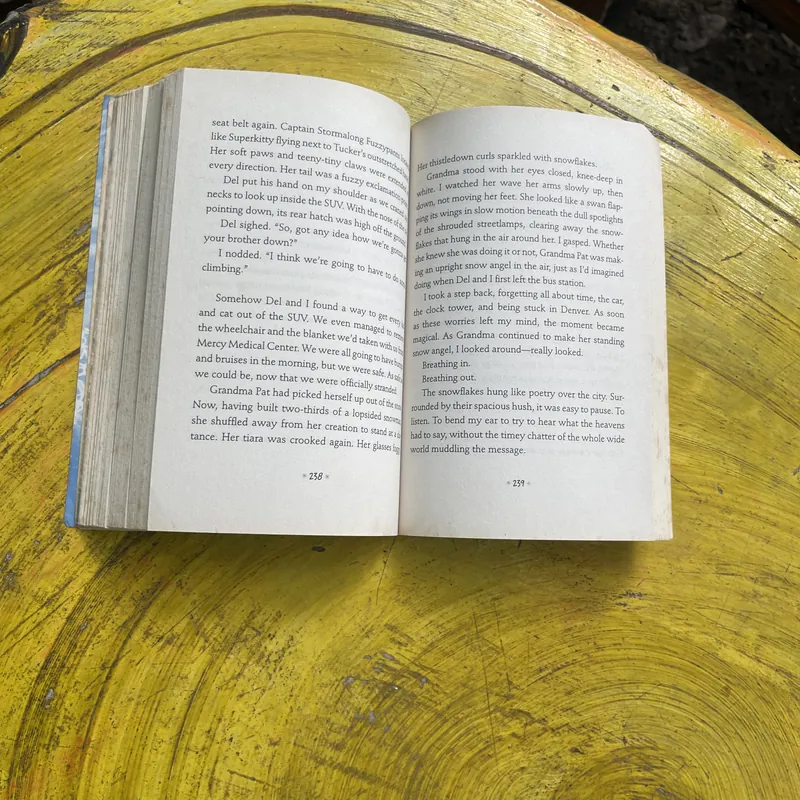 SWITCH- INGRID LAW 596105