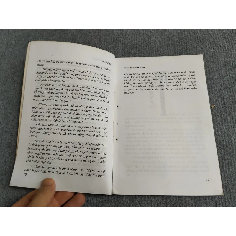 MIẾNG LẠ MIỀN NAM - VŨ BẰNG 701925