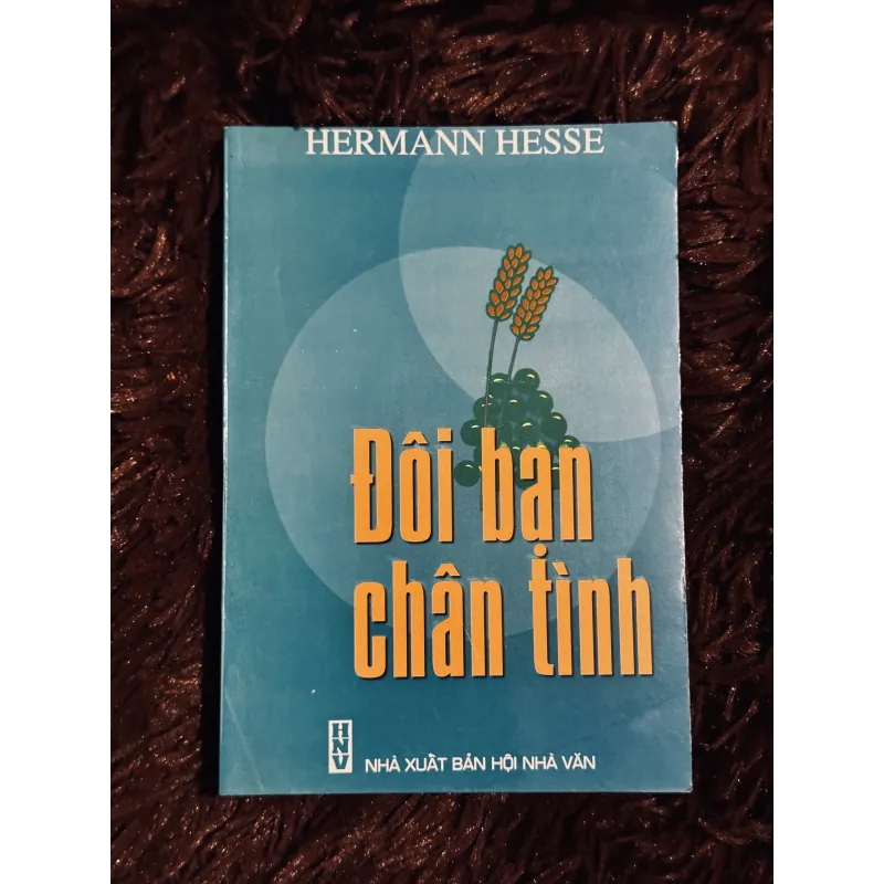 Đôi bạn chân tình 756643