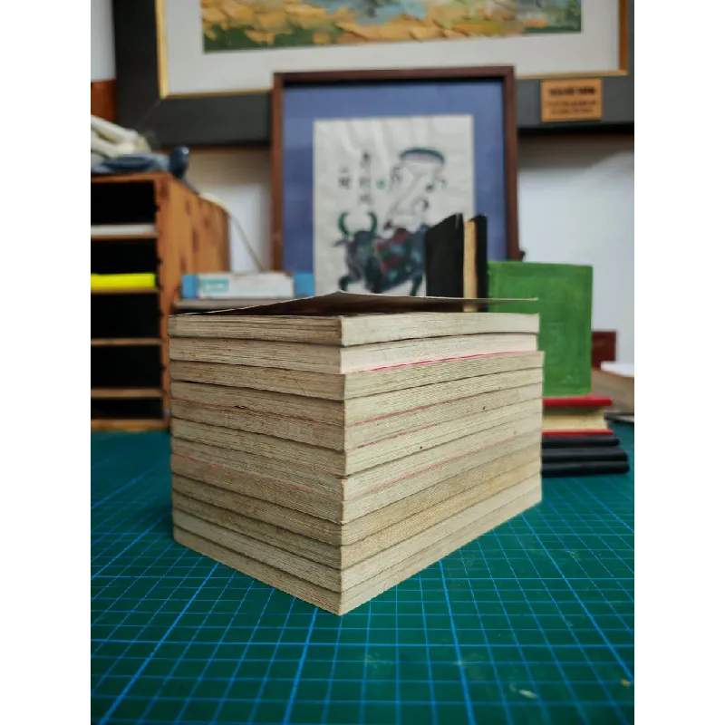 TRUYỆN TRANH Sakura Clamp Thủ Lĩnh Thẻ Bài Full bộ 12 tập 126991