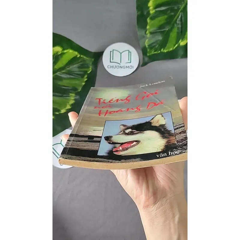 Tiếng Gọi Nơi Hoang Dã (1996) - Jack London 604594