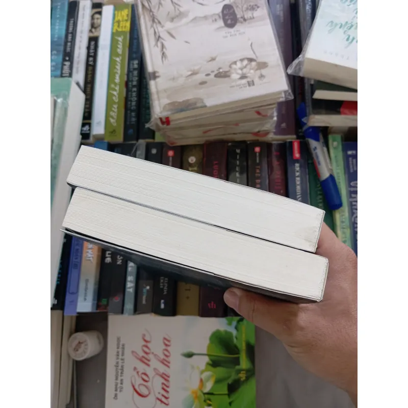 Chúa đá Zaggla (2 tập) 991416