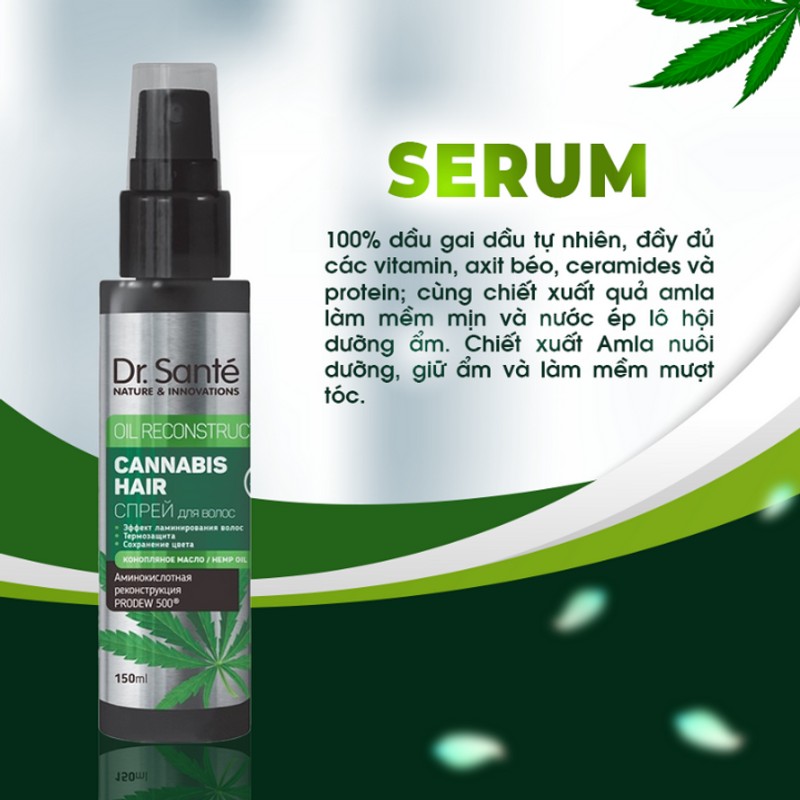 [CHĂM SÓC TÓC CHUYÊN SÂU – PHỤC HỒI HƯ TỔN] Serum dưỡng tóc Cannabis Hair 77394