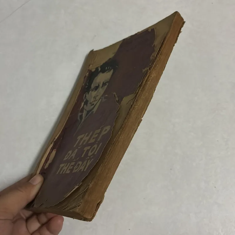 Thép đã tôi thế đấy - 1975s 716605