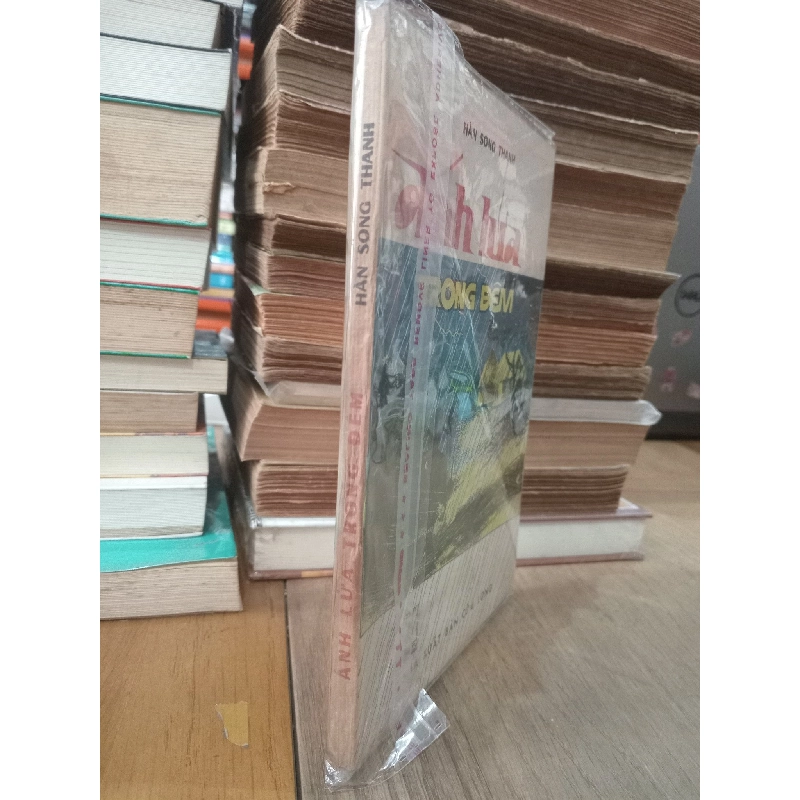 Ánh lửa trong đêm - Hàn Song Thanh 783716