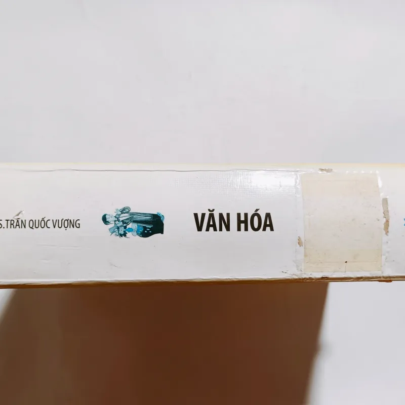 Văn Hoá Việt Nam - GS Trần Quốc Vượng 995295