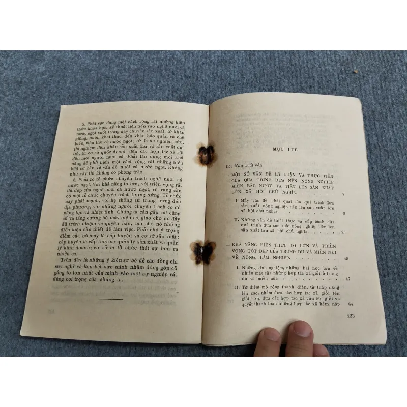 RA SỨC PHẤN ĐẤU CHO MỘT NỀN NÔNG NGHIỆP LỚN XÃ HỘI CHỦ NGHĨA - PHẠM VĂN ĐỒNG 688808
