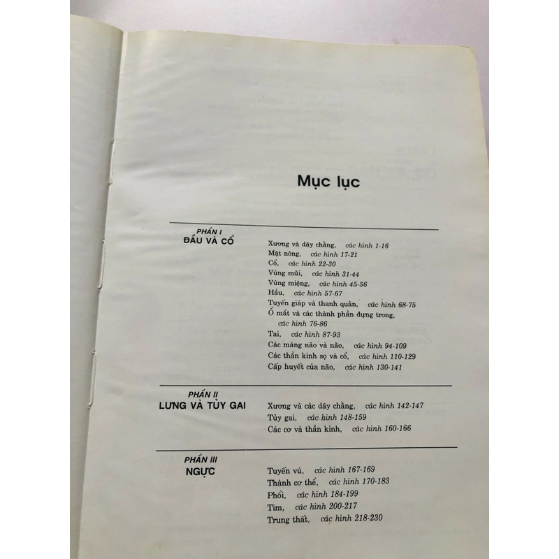 3. ATLAS GIẢI PHẪU NGƯỜI  470951