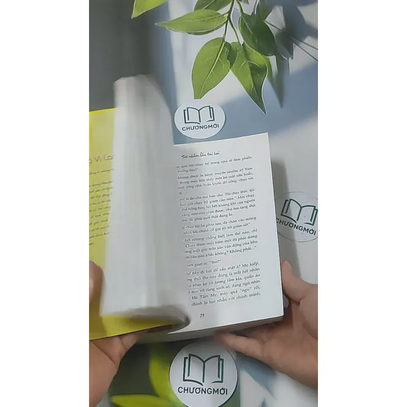 Sự nhầm lẫn tai hại - Bộ Vi Lan 688633