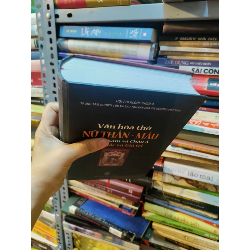 Văn hoá thờ nữ thần Mẫu ở Việt Nam và Châu A 453850
