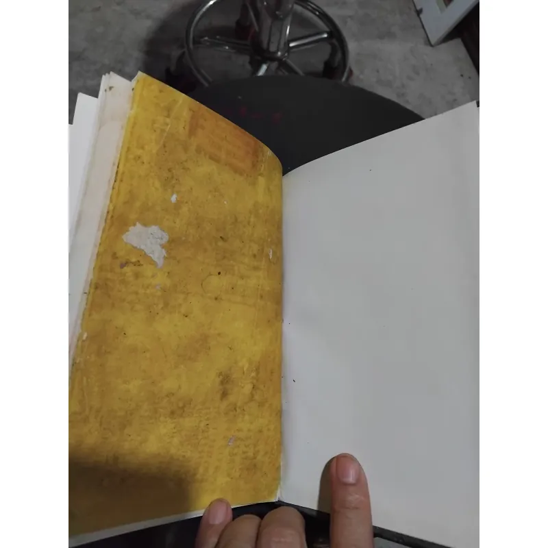 Thăng Long - Hà Nội thế kỷ XVII XVIII XIX  1031409