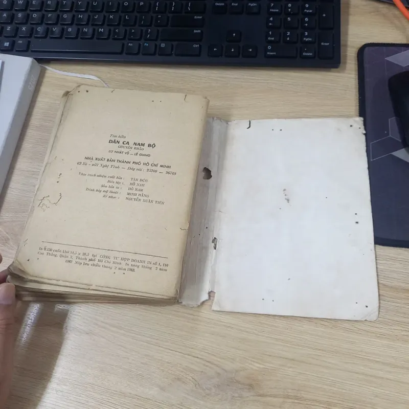 Tìm hiểu dân ca Nam Bộ (1983) - Lư Nhất Vũ và Lê Giang 1024262