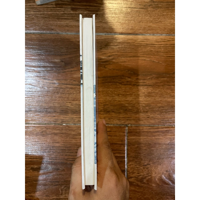 Nghệ thuật kiến trúc Nhật Bản - David & Michiko Young (k1) 504318