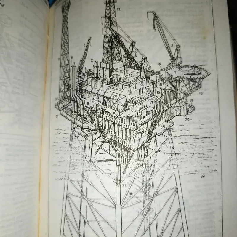 Từ điển Anh - Việt bằng tranh 1020476