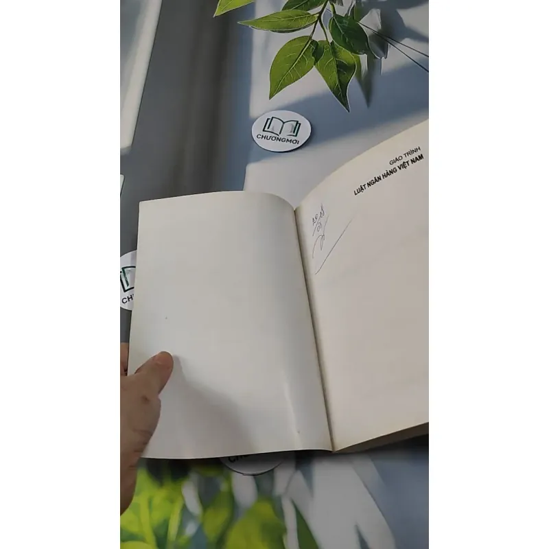 Giáo Trình Luật Ngân Hàng Việt Nam 727229