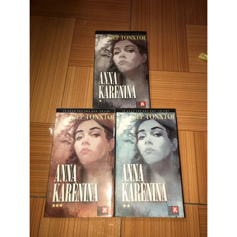Anna Karênina - Liep Tonxtoi 991561