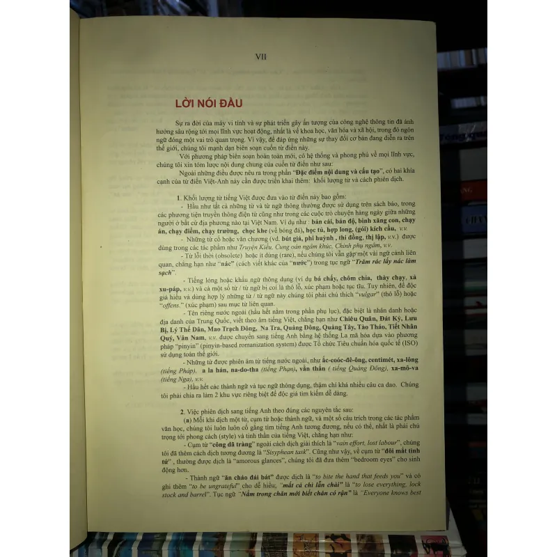 Từ điển Việt - Anh 756051