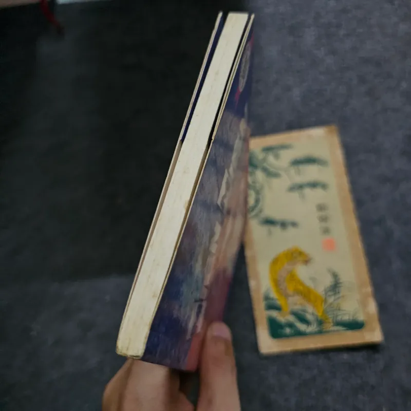 Tình dục gấu trúc - Miên Miên 734706