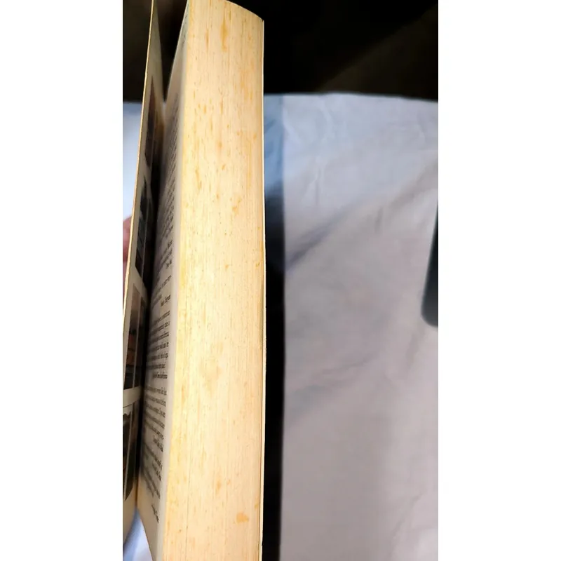 Michael connelly - The Lincoln Lawyer (khổ lớn, giấy ố) 732802