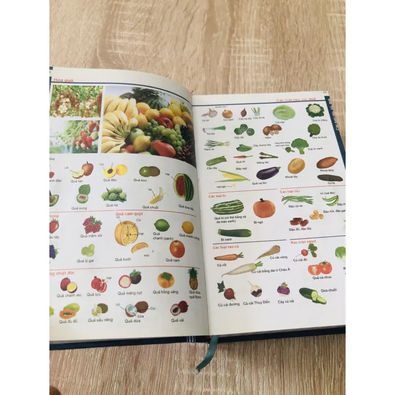 TỪ ĐIỂN TIẾNG VIỆT THÔNG DỤNG DÀNH CHO HỌC SINH  1000546