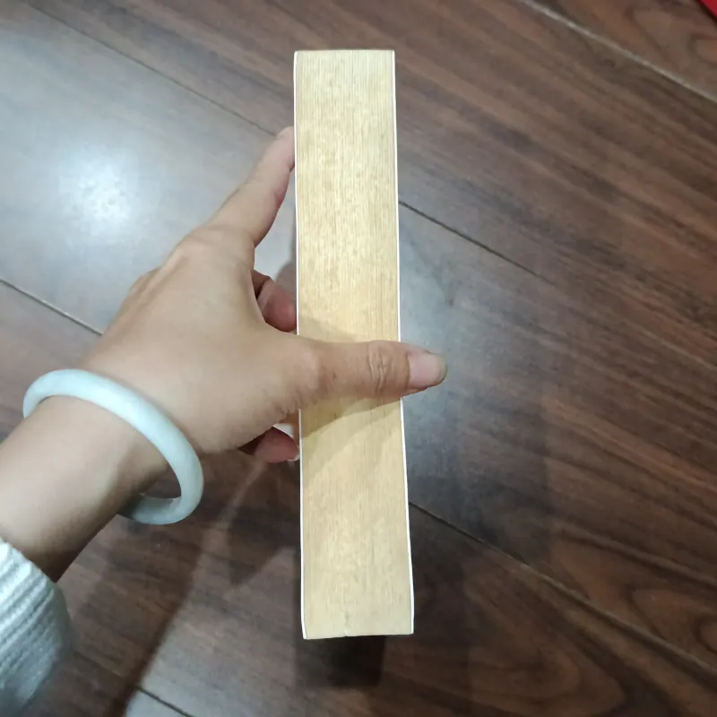 Ốc sên chạy 935294