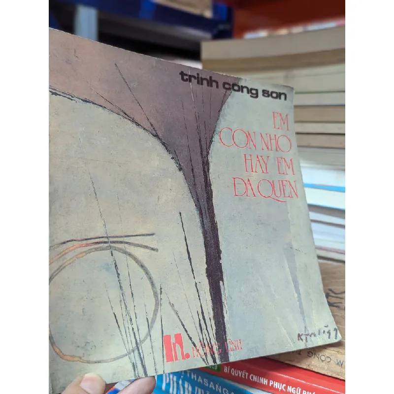 Em còn nhớ hay em đã quên - Trịnh Công Sơn 449457