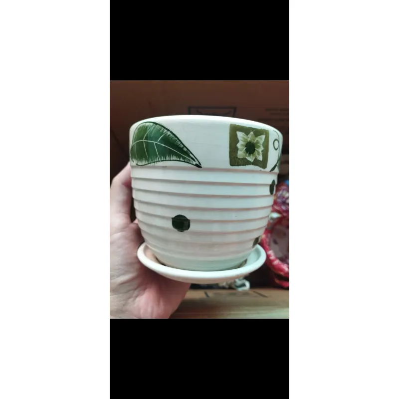 Chậu trồng sen đá 753586