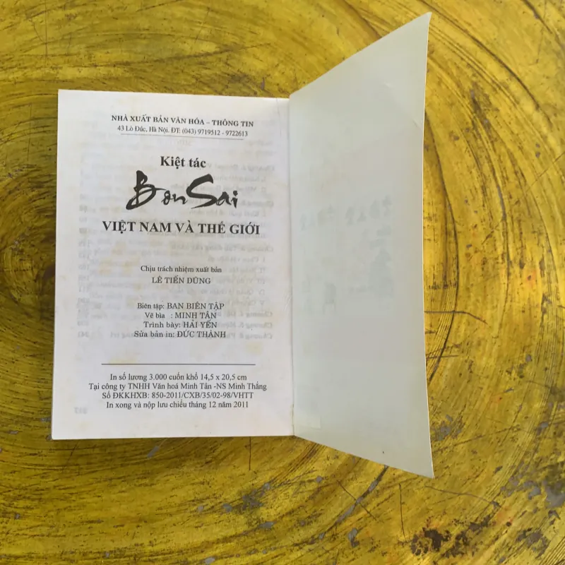 KIỆT TÁC BONSAI VIỆT NAM VÀ THẾ GIỚI- ĐỨC THÀNH biên soạn 1022452
