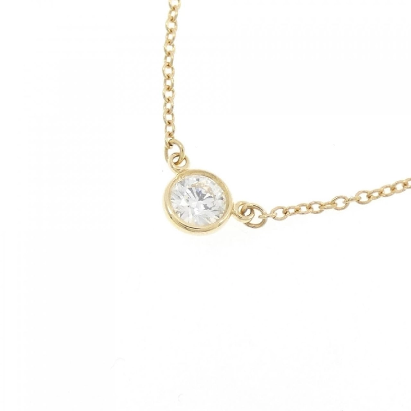 Dây chuyền Tiffany By The Yard - Hàng hiệu Authentic 842541