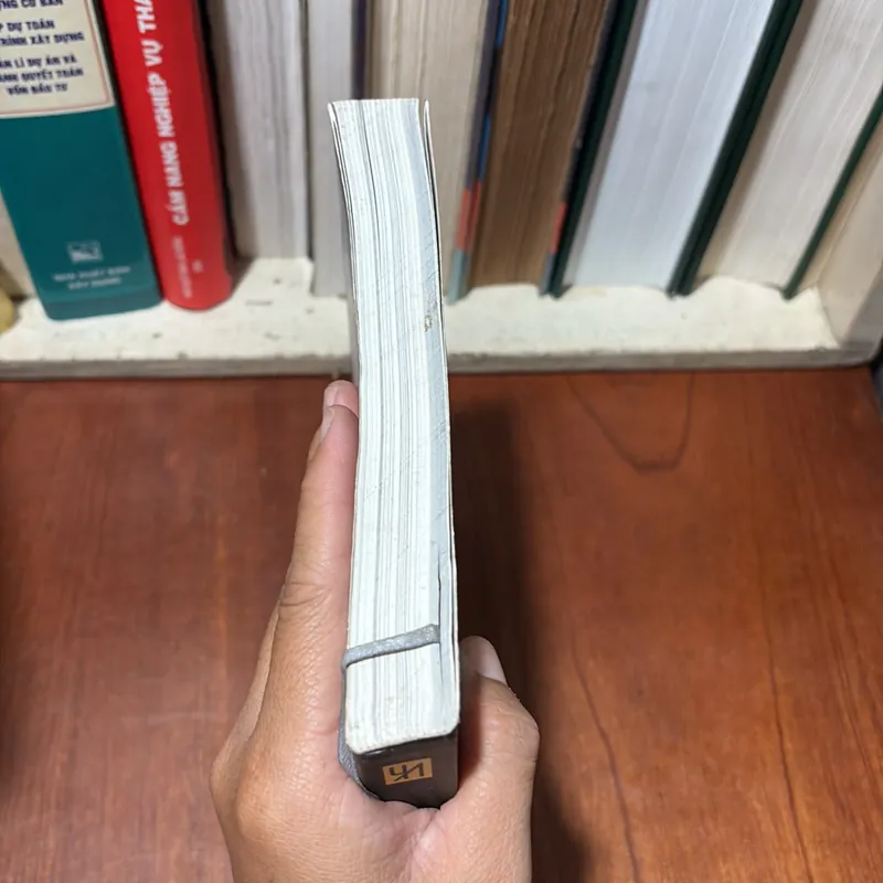 II Tranh Đà Lạt: Ngày Xưa Langbian… _ Đà Lạt - Tâm Thái - 2009 719533