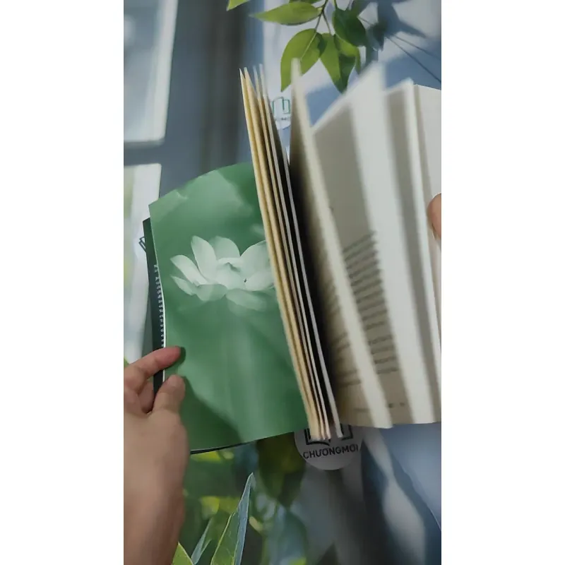 Minh Triết Trong Đời Sống -  Nguyễn Phong 961167