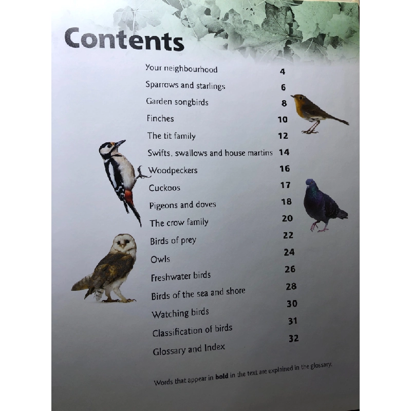 British Birds BÌA CỨNG mới 85% bẩn nhẹ Clare Collinson HPB3107 NGOẠI VĂN 348315