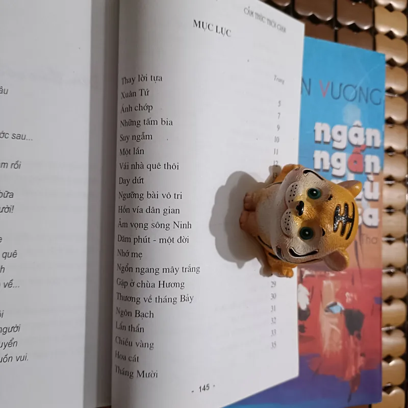 [2 cuốn] Cảm thức thời gian - Thơ (Phạm Thái Quỳnh) + Ngân ngấn phù sa - Thơ (Lưu T.Vương) 975627