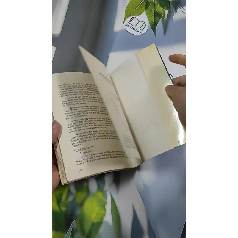 [XƯA] Để Tổ Chức Một Đám Cưới (1994) - Quỳnh Hương 776164