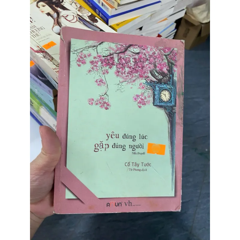 Yêu đúng lúc, gặp đúng người — Cố Tây Tước 788532