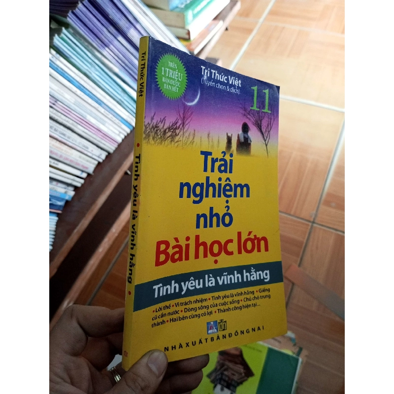 (Sách cũ SCGR) Tình yêu là vĩnh hằng 11 - Tri Thức Việt 2011 VAVO-AK18 Blogmeo090426 1014302