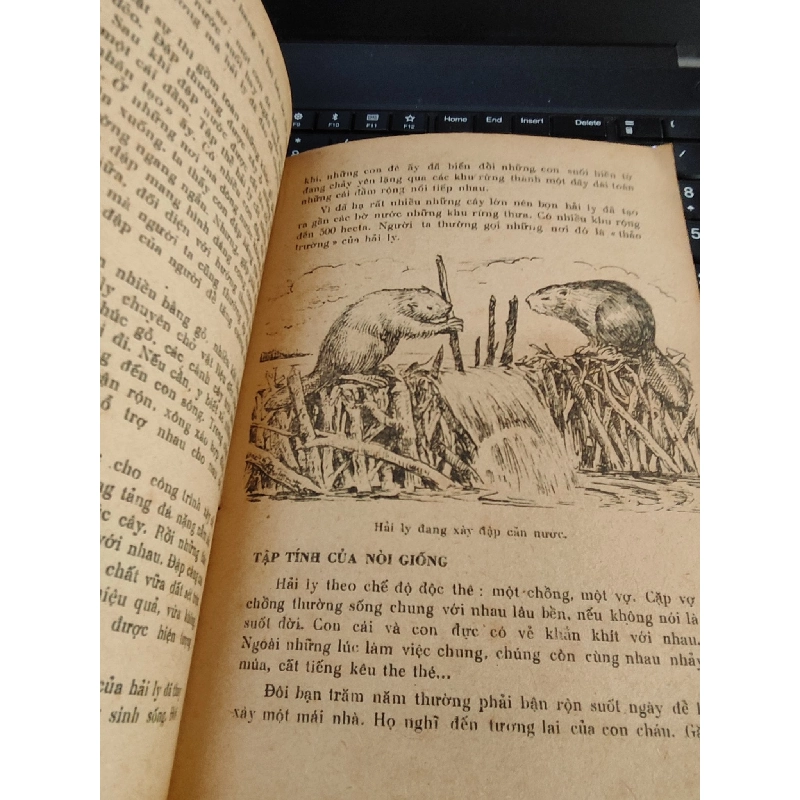 Những tay nghề kỳ diệu - Minh Hương 1031904