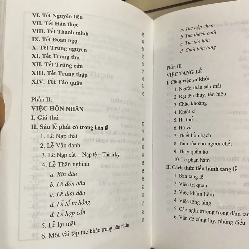 PHONG TỤC VIỆT NAM (QUAN-HÔN-TANG-CHẾ), XB 2006 561805