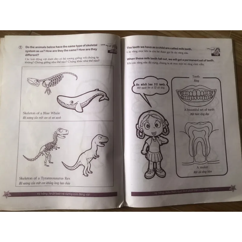 Cùng khám phá tiếng anh - Môi trường Sống - 3A 1004065