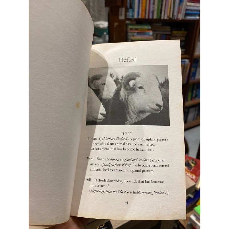 The Shepherd’s Life - James Rebanks 993815