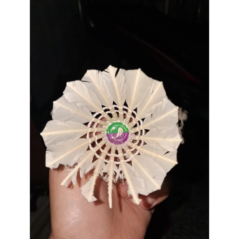 Cầu Lông Pando đã sử dụng 1005951